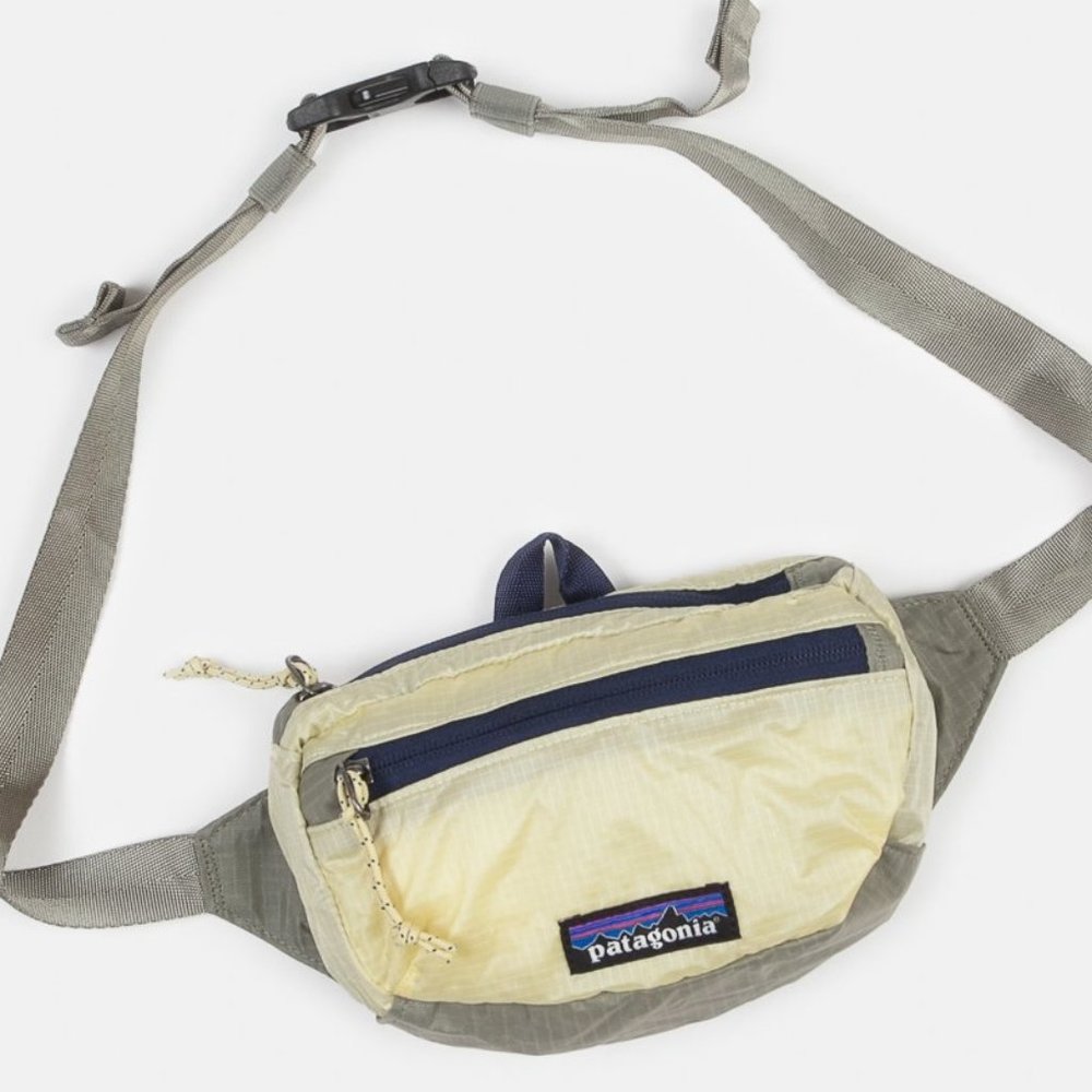 (In Search of) 2019 Patagonia Mini Hip Fanny Pack